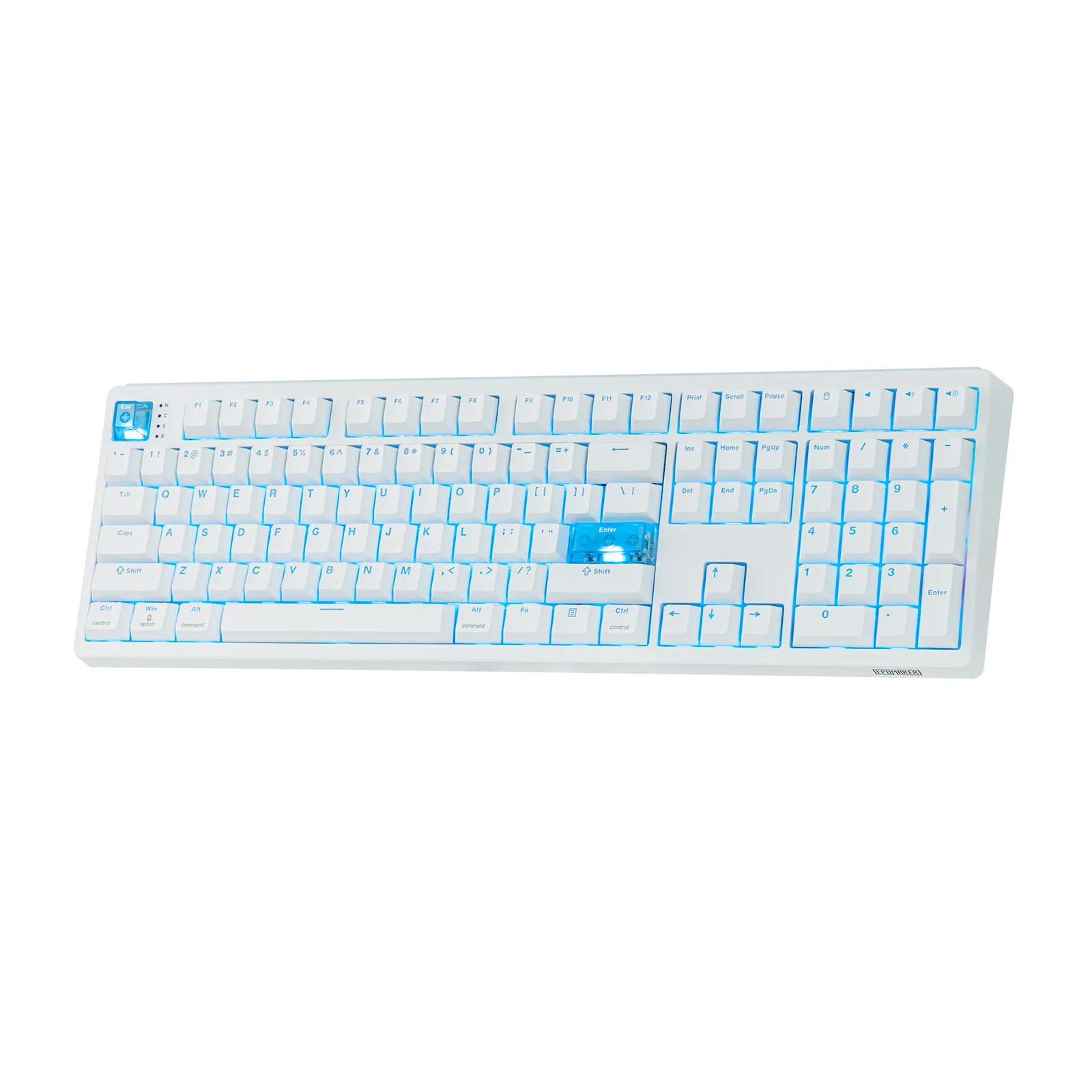 Newest Products